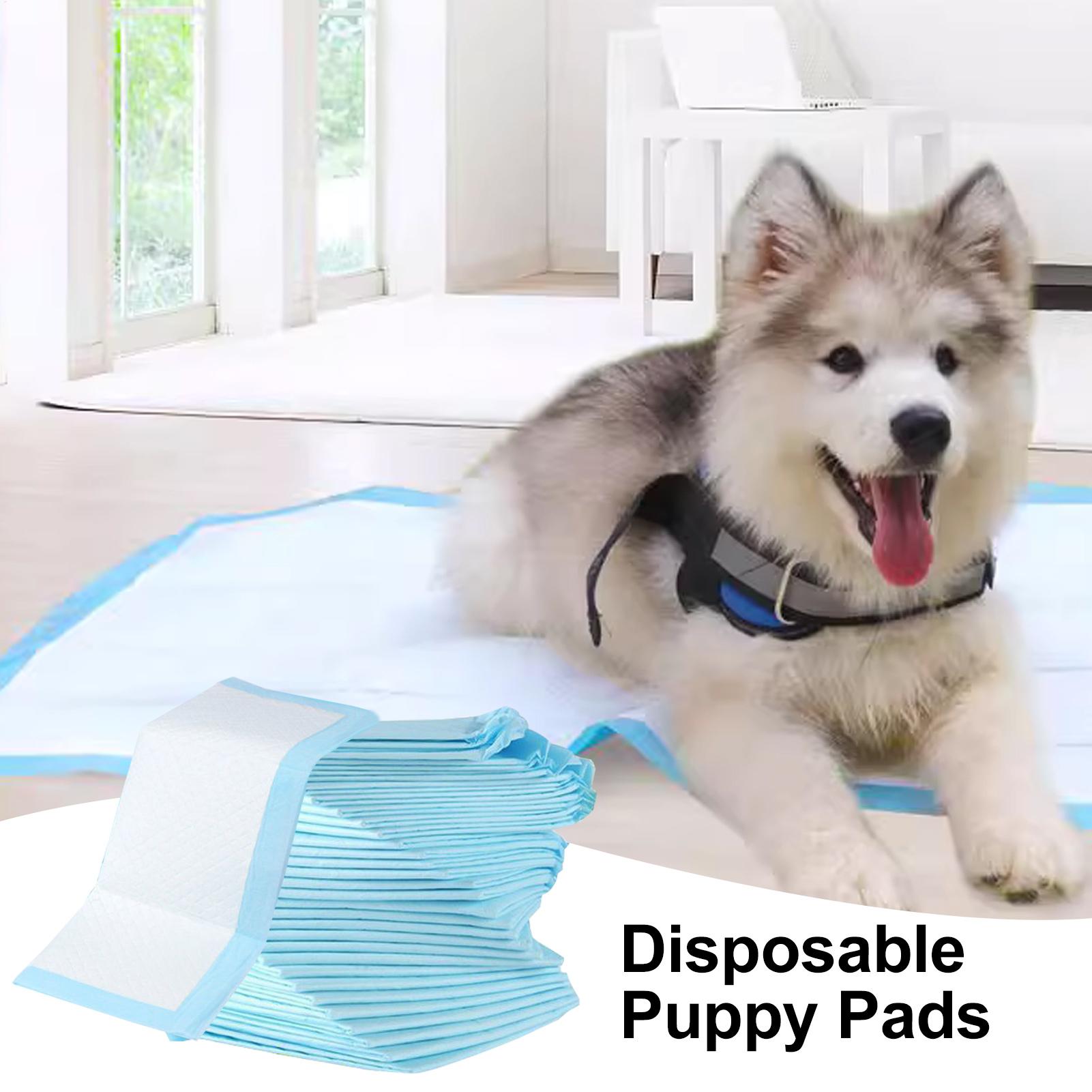 Diaper Changing Pad 100pcs Dia - Diaper Changing Mat 评论和价格
